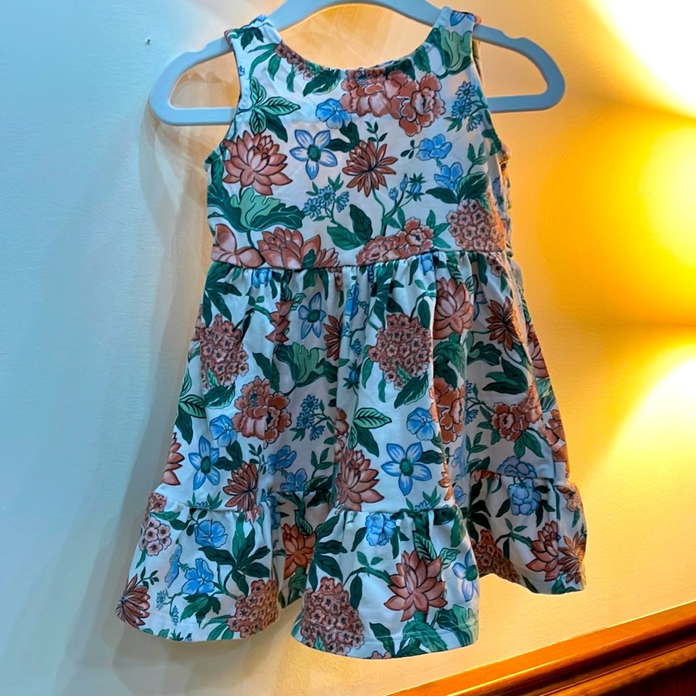 Janie and jack floral dress